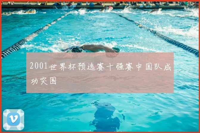 2001世界杯预选赛十强赛中国队成功突围